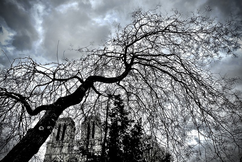 PARIGI-REIMS