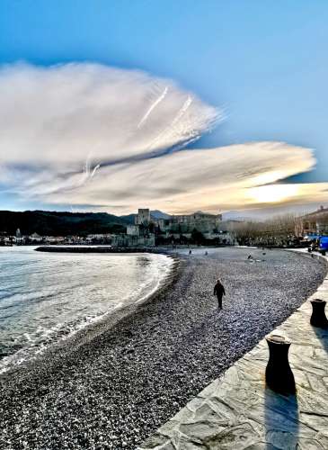 Collioure