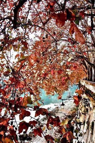 autunno a Roma