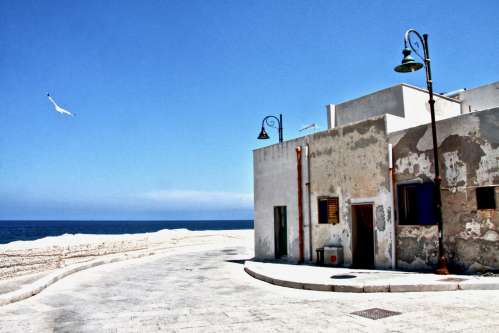 Favignana