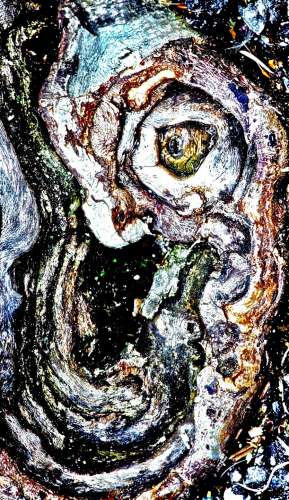 spirito del bosco