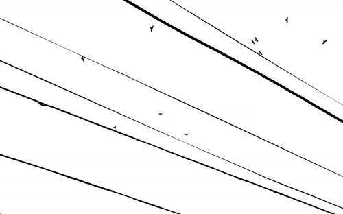 tra le linee