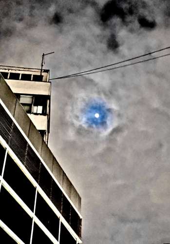 Beograd