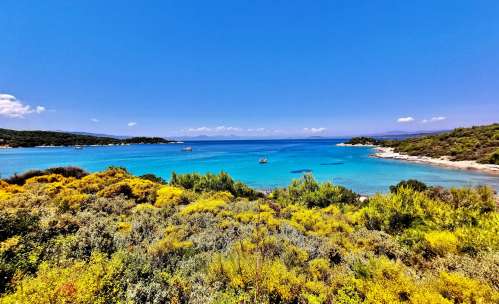 Spetses