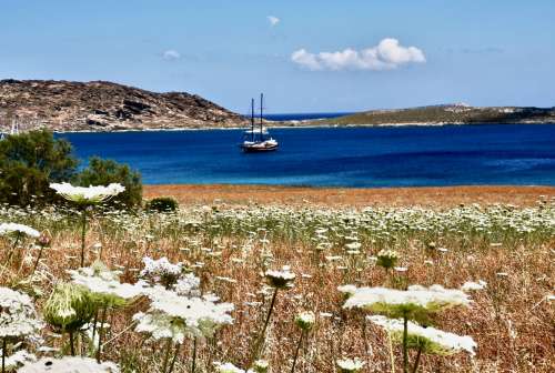 Paros