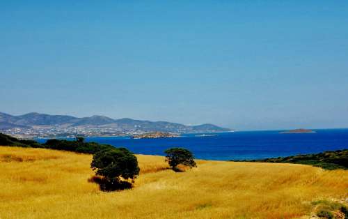 Paros