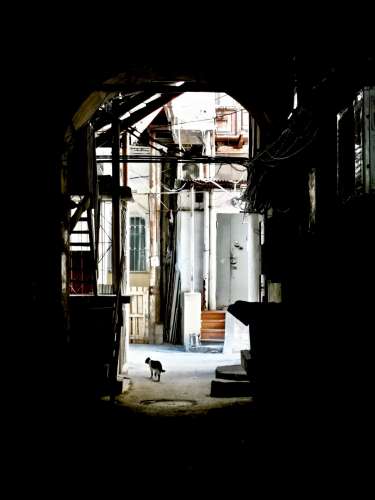 cortile 3 (Baku)