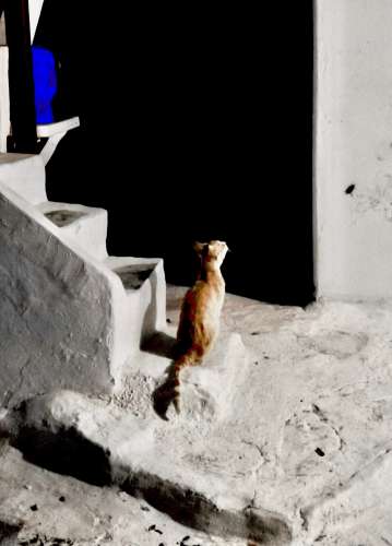 Mykonos