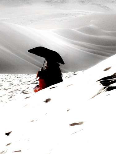 GOBI