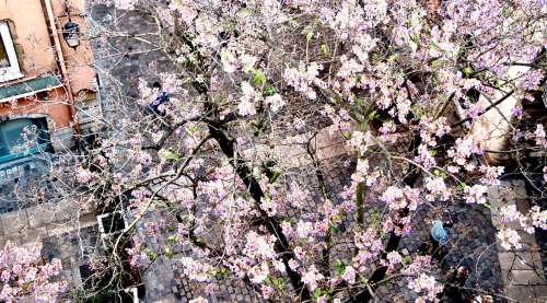 primavera in Francia
